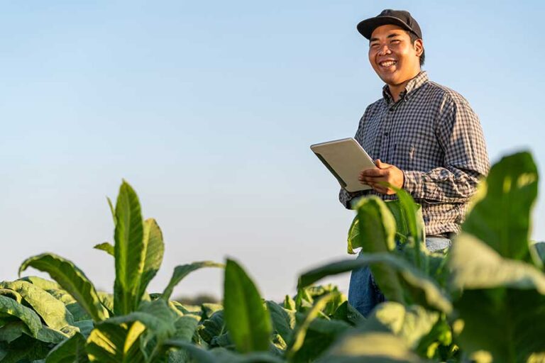 Why the Heck you Should be Using the H-2A Agricultural Visa Program