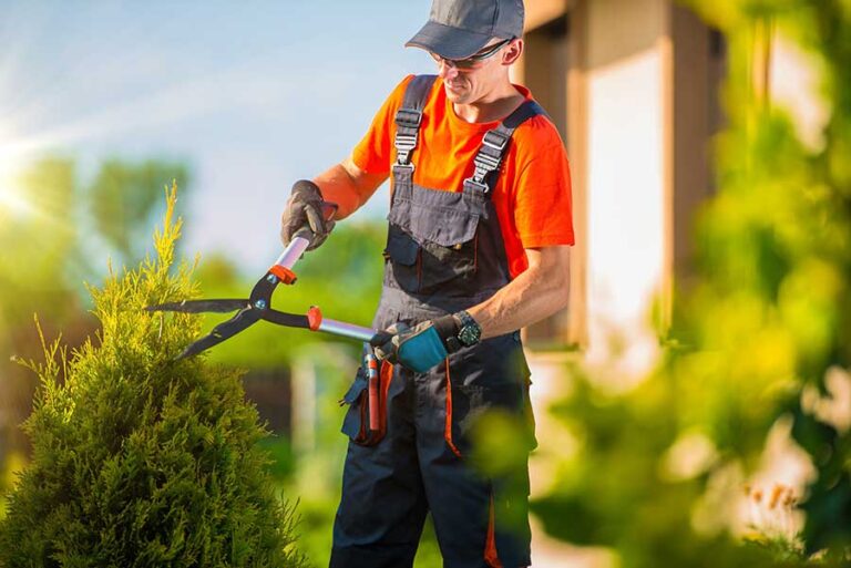 Benefits of Using the EB-3 Visa Program for Landscaping Companies